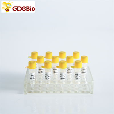GDSBio Power Green Master Campuran Untuk PCR Dengan ROX P2101c P2102c
