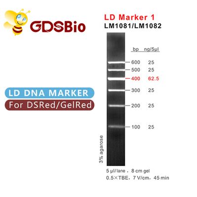 Penampakan Biru LD Marker 1 DNA Marker Electrophoresis