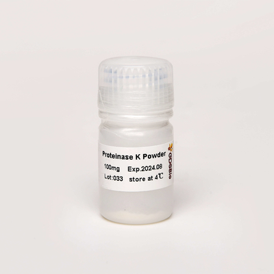 Biologi Molekuler Grade Proteinase K Powder N9016 100mg