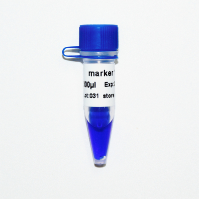 Marker 1 DNA Marker Elektroforesis 400bp 50ug Penampilan Biru