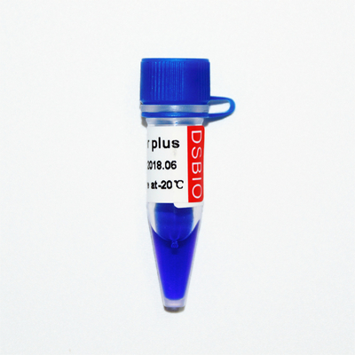Penampilan Biru 50bp Tangga DNA Elektroforesis 50ug