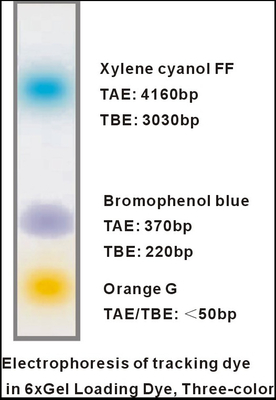 6× Pewarna Pemuatan Gel Penyangga Elektroforesis DNA Tiga Warna EDTA 1mlx5