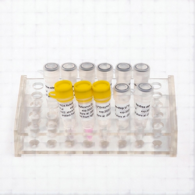 GDSlyo One-step Probe RT-qPCR Kit untuk reagen liofilized